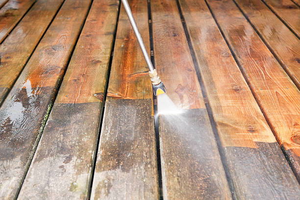 Best Residential Exterior Washing  in Northampton, MA